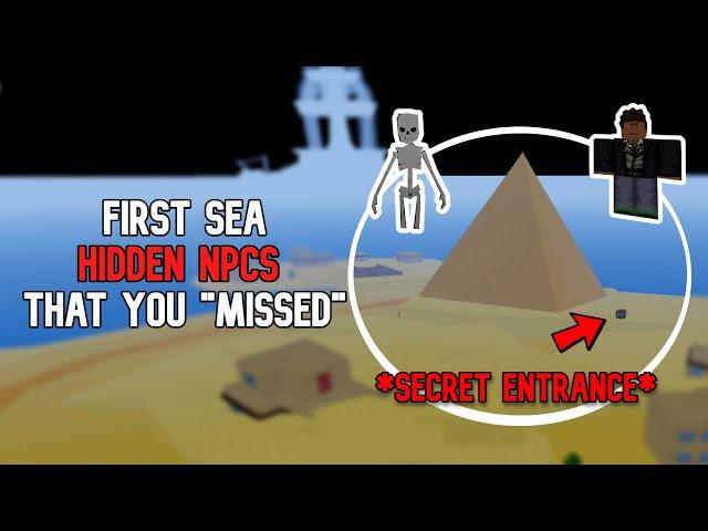 *6 HIDDEN NPCS* in the First Sea that you have "Missed" Blox Fruits