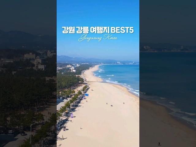 국내 여행지 추천 #가볼만한곳 #강릉여행 #당일여행