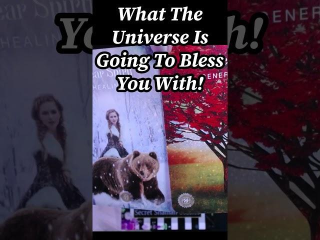 What The Universe Is Going To Bless You With Is Better Than You Think!