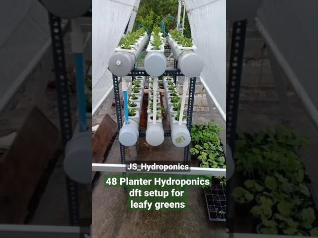 Trial setup for Hydroponic Lovers; Contact @9300756573; #JS_Hydroponics