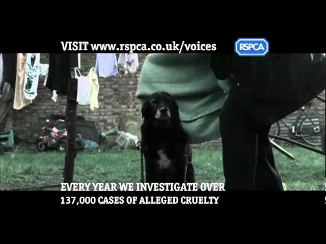 RSPCA  Campaigns - Voices