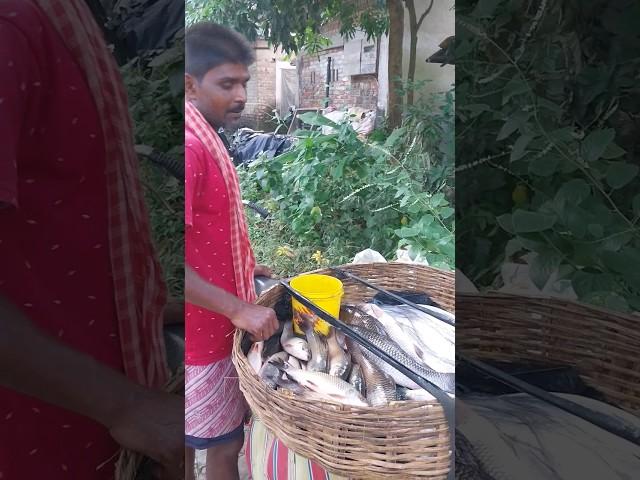 fish seller on village street. beautiful villagelife. #villagelife #fish