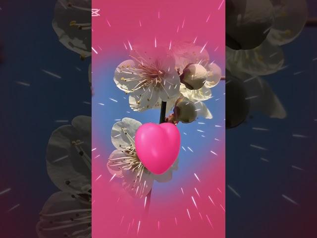 눈물의부루스-동분서주#감성보이스#감성천재#힐링가수