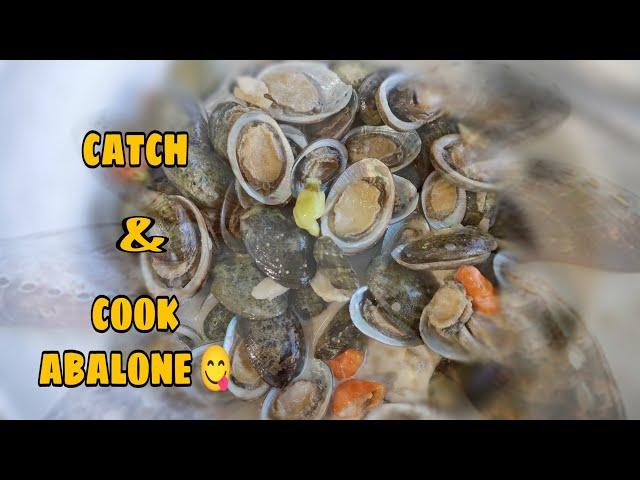 ABALONE | CATCH & COOK (lapas/kinhason) | #GonPrixOfficial - v11