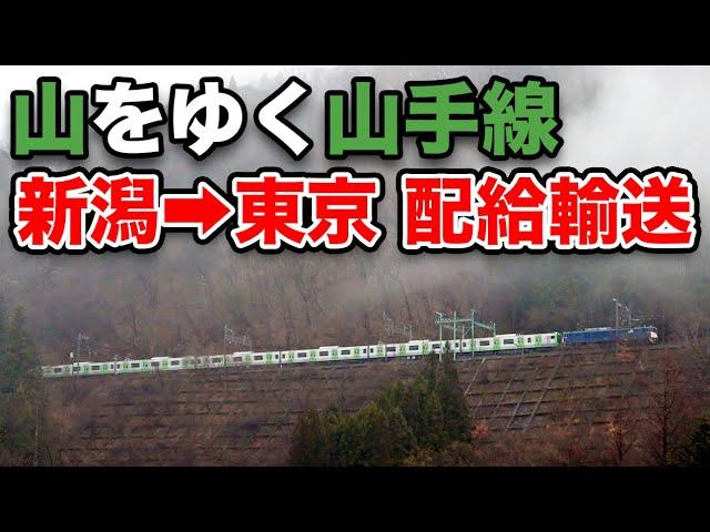 【新潟→東京】山奥を走る山手線E235系 １度きりの新津配給【最終編成】 湯檜曽駅→大崎駅 12/17-02