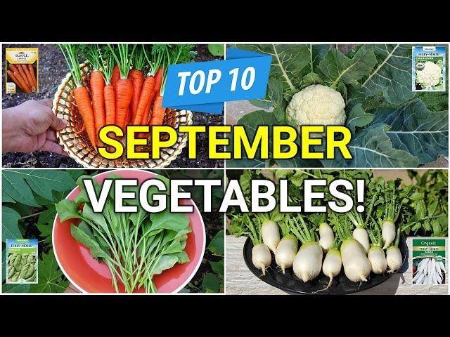 Mastering the Fall Garden: 10 Veggies You Can Plant in September!