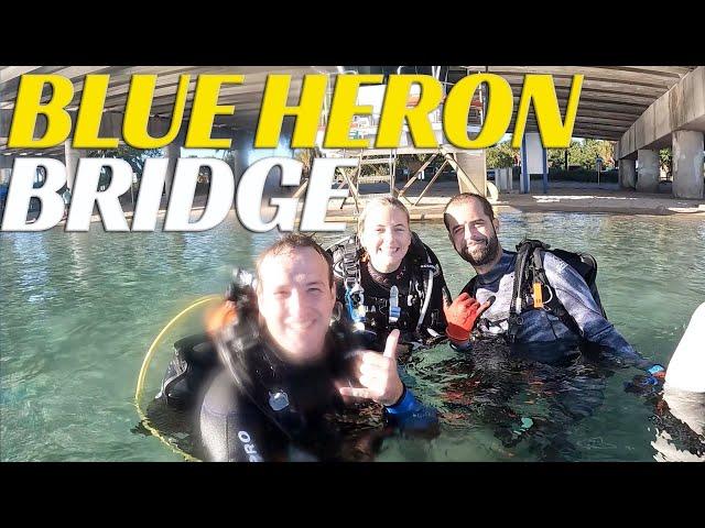 BEST SHORE Dive In North America - Blue Heron Bridge In Florida - Ep 94