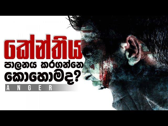 ANGER MANAGEMENT | Sinhala Motivational Video | Jayspot