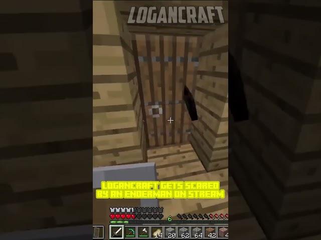 LoganCraft gets Jumpscared By an Enderman on Stream... #shorts #funny #minecraftshorts