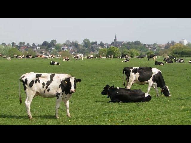 Zweitälerwanderung um Walheim