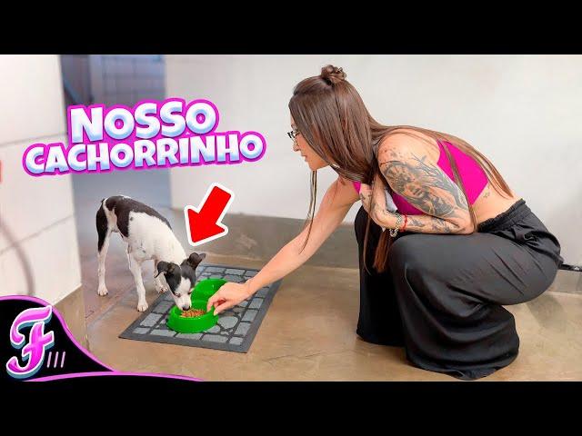 LEVAMOS COMIDA PRO NOSSO CACHORRINHO - Fran Japa