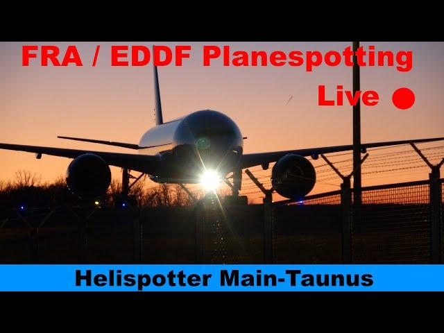 FRA LIVE  after work Planespotting