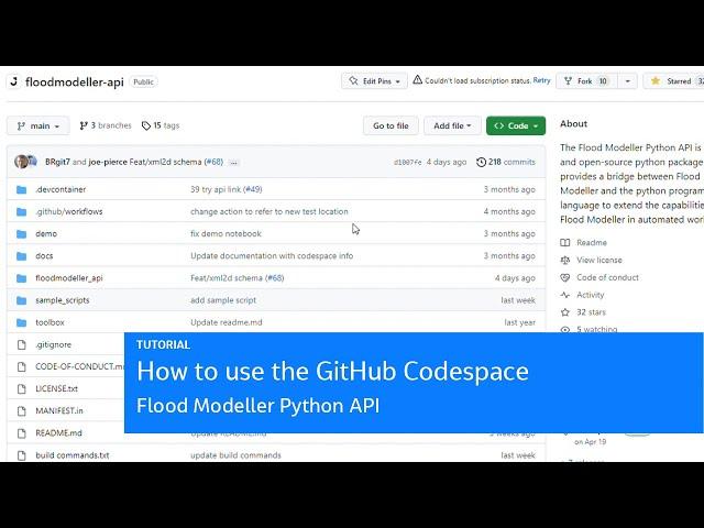 How to use the GitHub Codespace