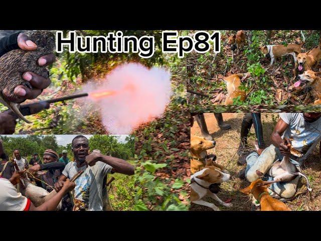 We Caught a live antelope and grasscutter - Emuren Hunters awesome hunting skills - Hunting Ep81