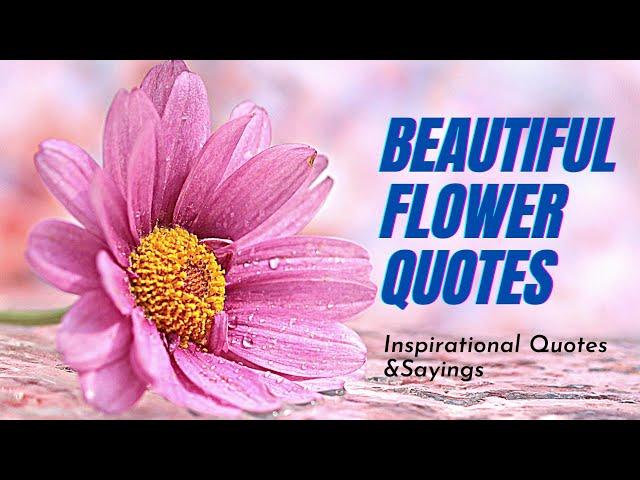 Stop And Smell These Flower Quotes!@Journey2Yourself