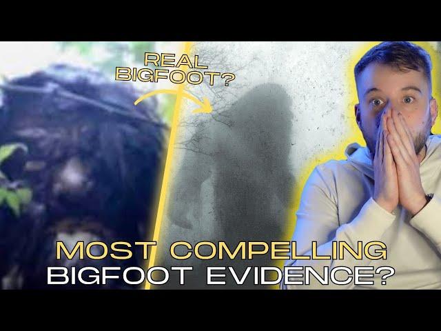 Bigfoot Evidence So Compelling Professionals Are In Disbelief!