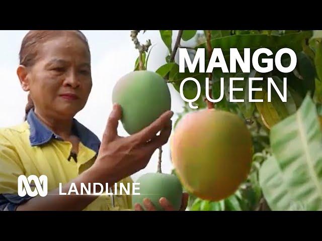 Meet Saramat Ruchkaew: The uncrowned 'Mango Queen' of the Northern Territory | ABC Australia