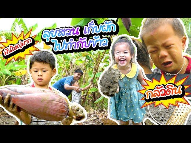 กุมารรายงาน EP14 | ลุยสวน เก็บผัก ไปทำกับข้าว