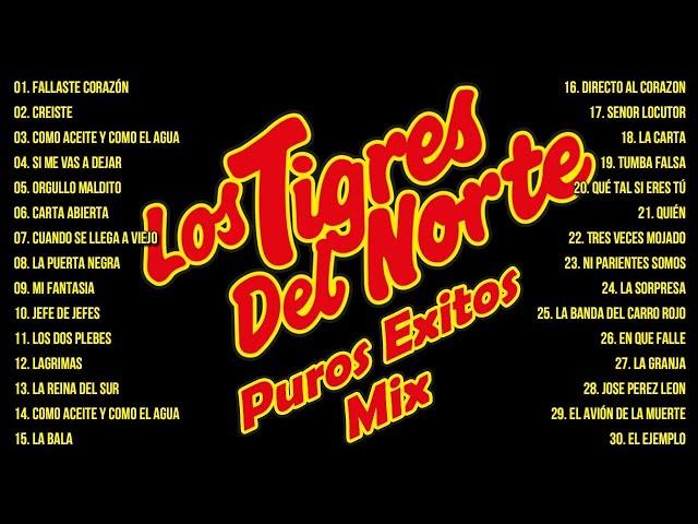 1 Hora De Puros Corridos De Los Tigres Del Norte Mix - Los Tigres Del Norte Mix Exitos Pa Pistear