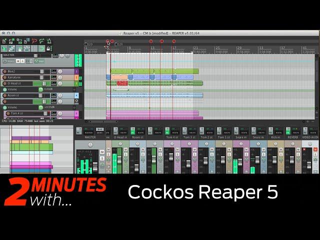 Cockos Reaper 5 DAW in action