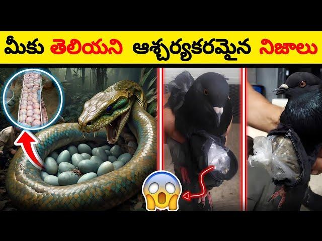 Top 100 Interesting Facts In Telugu | Facts In Telugu new | Telugu Facts Interesting | Facts Forever