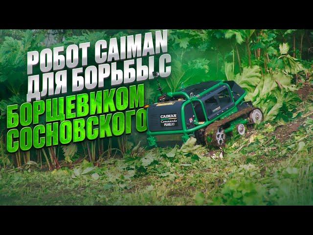 Техника Caiman для борьбы с борщевиком Сосновского