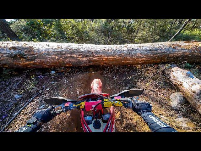 Sea to Sky 2023 Hard Enduro | Forest Race | Dieter Rudolf POV