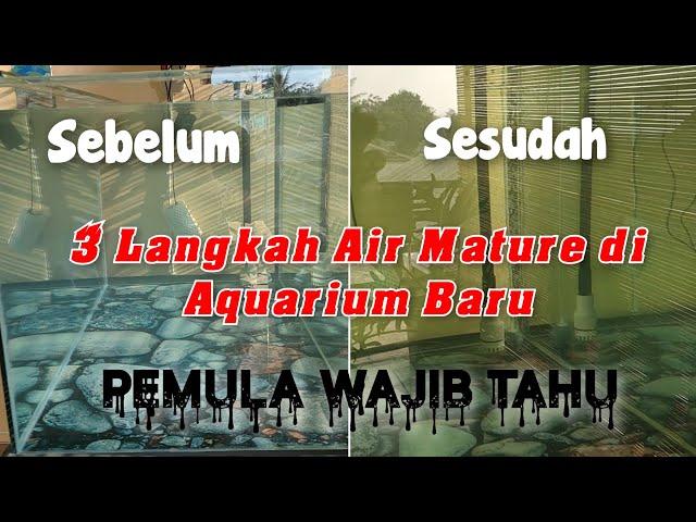 Treatment Aquarium Baru Sampai Air Mature