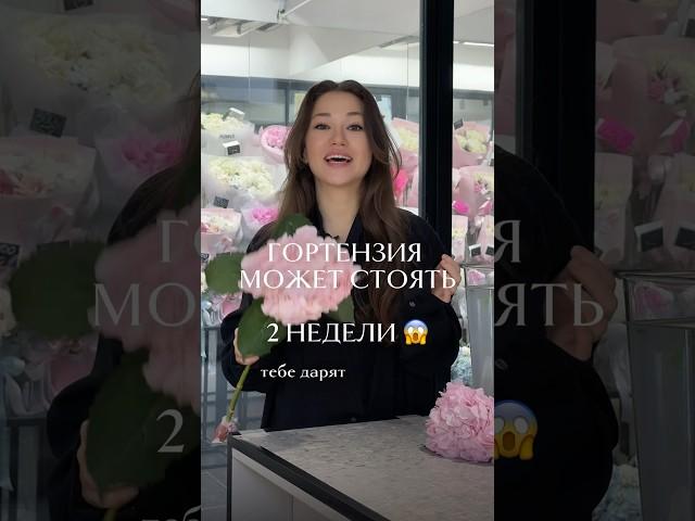 Гортензии будут стоять 2 недели! #цветы #букет #гортензии
