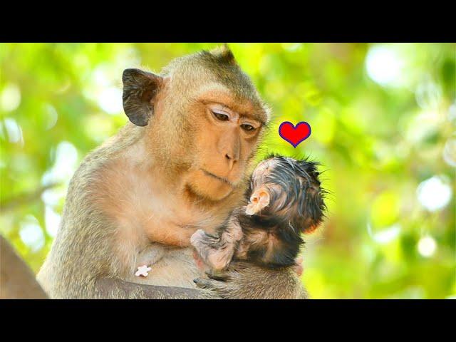 Sweetie young mommy MESSI so happy get first baby || Mom saying love to her baby newborn