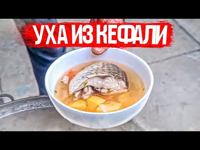 Как варили уху старые одесские рыбаки. Уха из кефали
