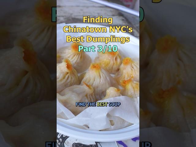 I Found Chinatown NYC’s Best Soup Dumplings!