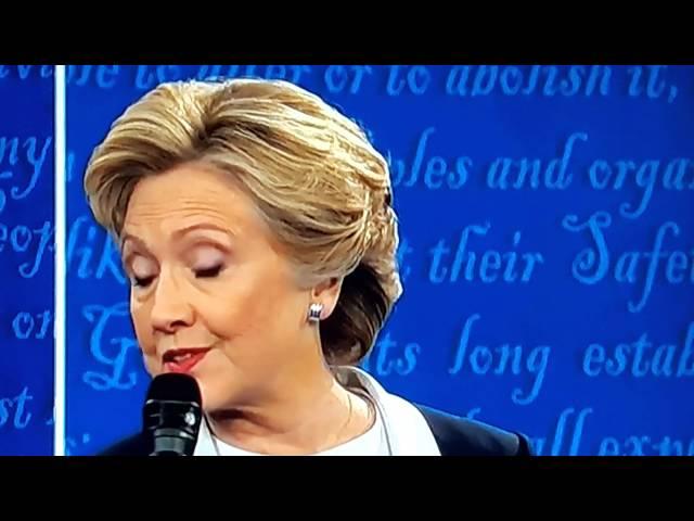 A FLY land's on Hillary Clinton's face during the Debate