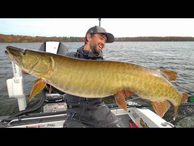 ULTRA CLEAR WATER Fall Musky Fishing!!!