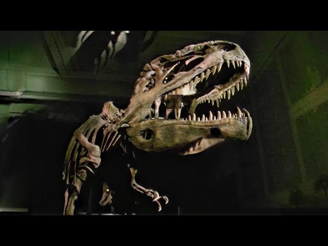 Unearthing the Killer Elite: Predators Beyond T-Rex | Dinosaurs Inside & Out