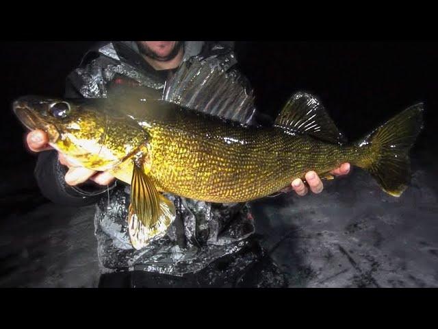 HAMMERING Walleyes Non-Stop After Dark Ice Fishing! (INSANE BITE)