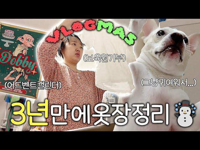 vlogmasep.1블로그마스 시작합니다️첫눈, 도비 해리포터 어드벤트캘린더, 유트루 라엘 마켓, 가성비향수, 개모차 구매, 먹방, 브이로그