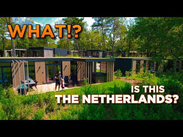 DID YOU KNOW? The Netherlands has NATURE like this? Travel Guide to TWENTE