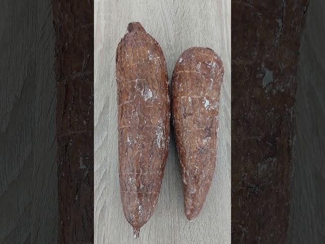Лекарственные растения. Корень юки ( маниока) польза и вред.