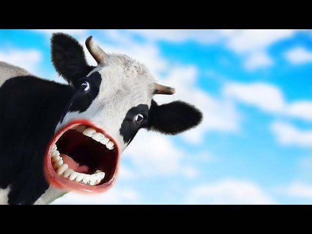 MOO