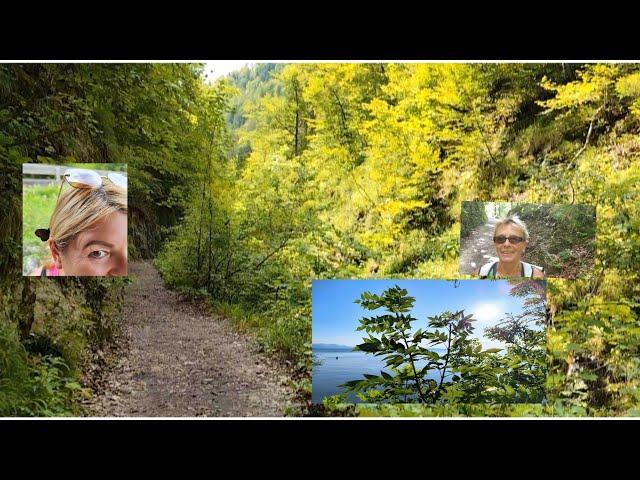 Wandern zur Harbach Alm ️  Chiemsee • Leben im Chiemgau