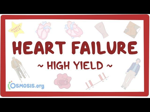 Heart failure: Pathology review