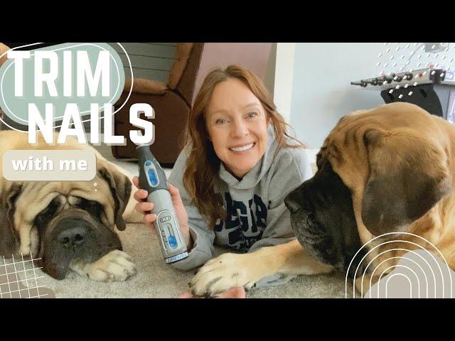 Trim Dog Nails with Big Dog Mom | How To Cut Dog Nails Without FEAR or FRUSTRATION | FORCE-FREE TIPS