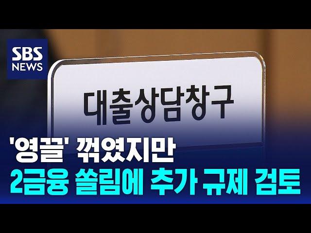 '영끌' 꺾였지만…2금융 쏠림에 추가 규제 검토 / SBS