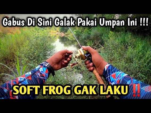 Lure Ini Jadi Andalan || Casting Gabus Sungai