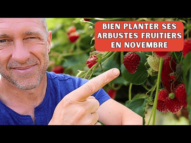 Plantation d'arbustes fruitiers au potager [petit tuto du potager]