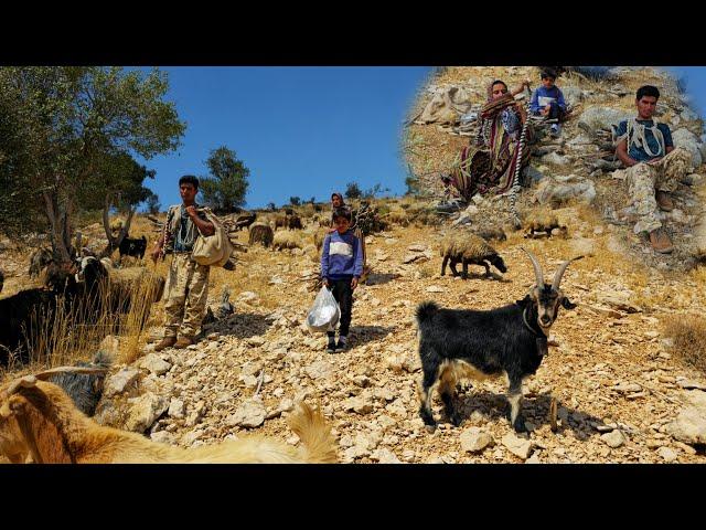 Nomadic lifestyle in the mountains | Daily rural and nomadic life in the mountains