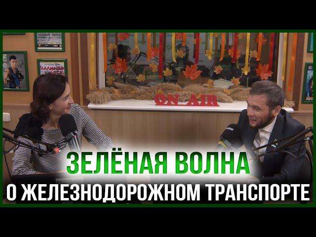 ЗЕЛЁНАЯ ВОЛНА | РАВИЛЬ САДЫКОВ — ДЕПУТАТ ГОРОДСКОГО МАСЛИХАТА