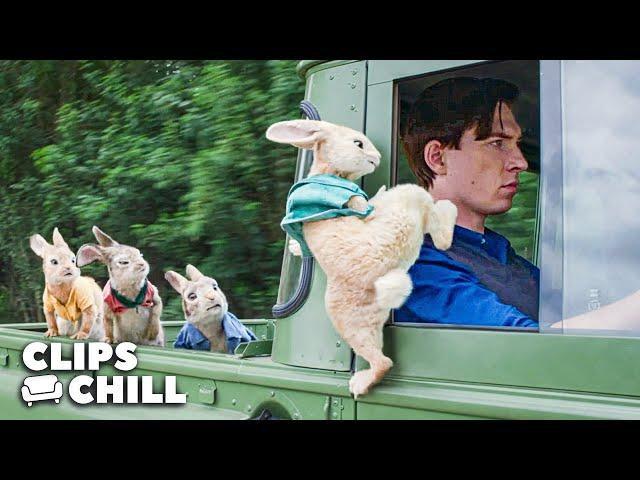 Just Give Him A Wet Willy! | Peter Rabbit | Clips & Chill