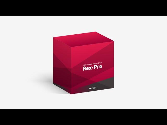 Rex-Pro: 당신이 원하는 쉽고 빠른 분석 전문가